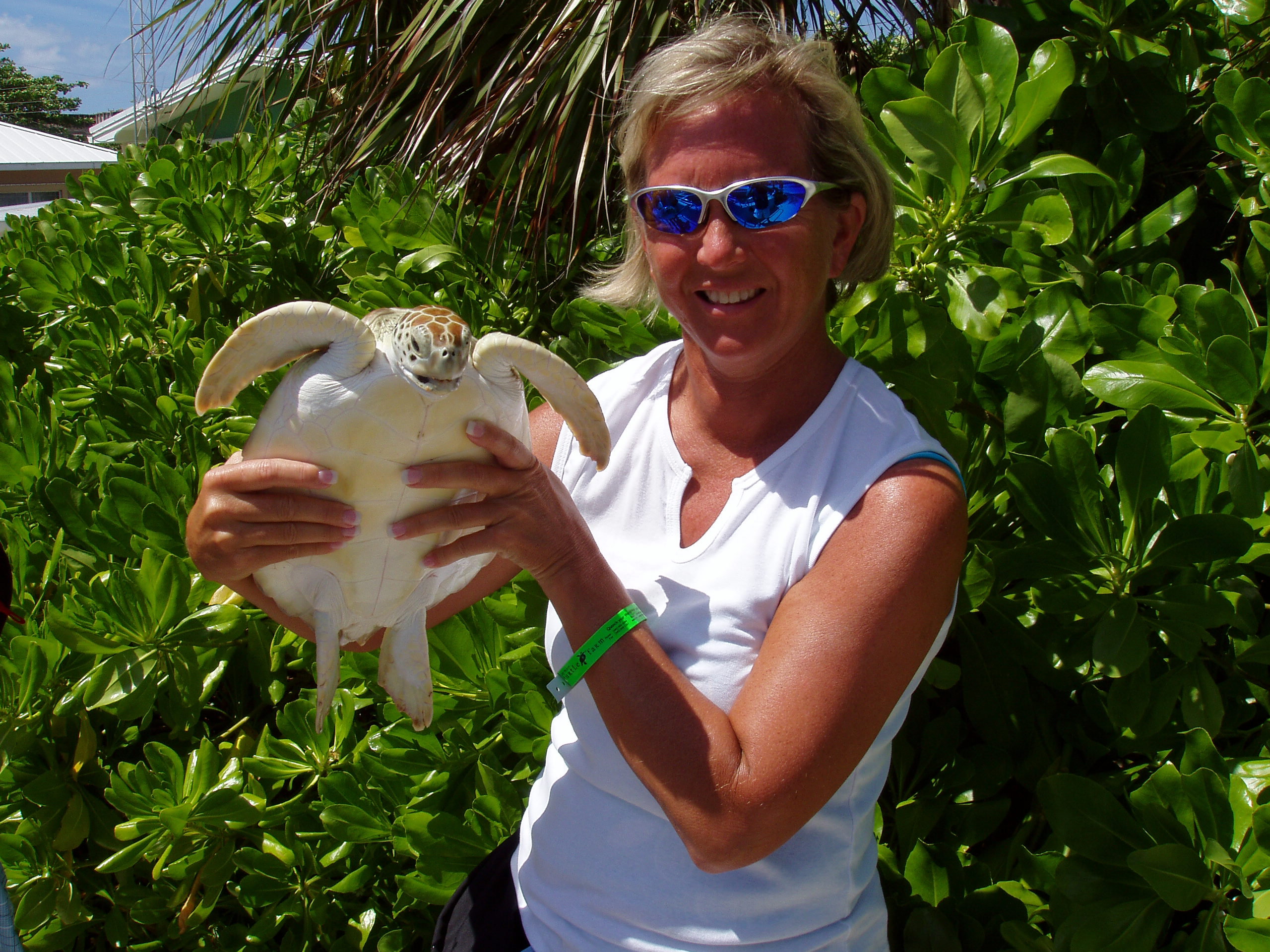 Laurie Brewer, Animal Care Extrordinaire, Cocoa, FL